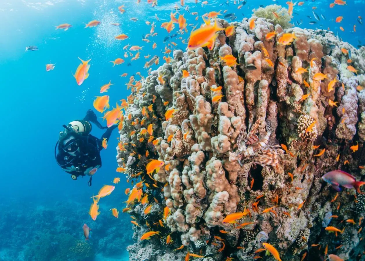 Appartamento Al Raha Village - Aqaba